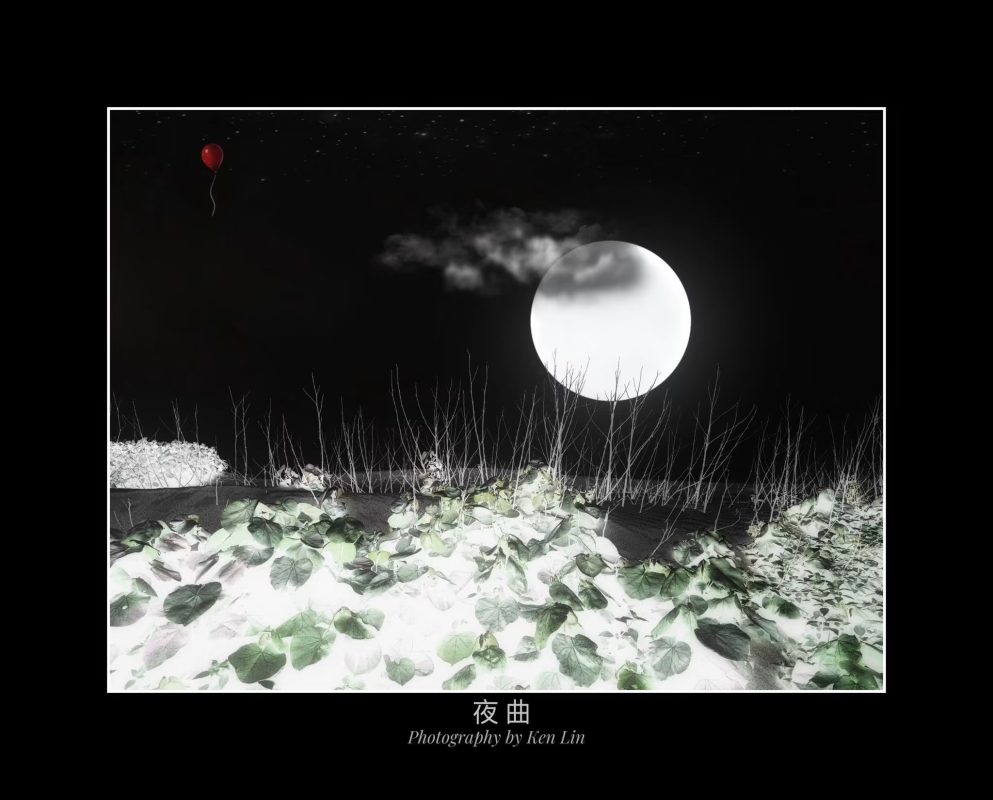 S__124788754